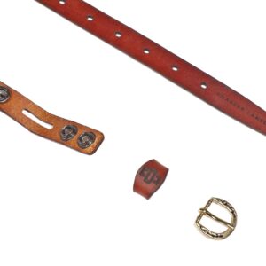 Women’s rich tan skinny leather belt with interchangeable antique brass and silver buckle options.